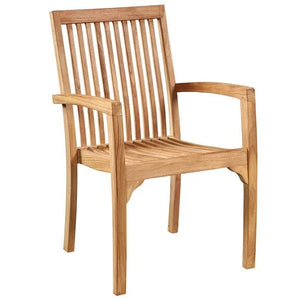 Elyse Outdoor Arm Chair