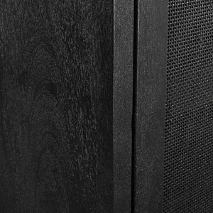 Anaya Cabinet
