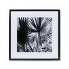 Black & White Palm Leaf - Style A