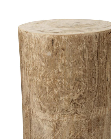 Image of Agave Side Table